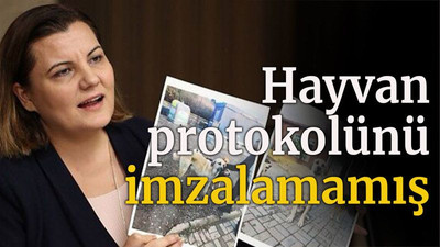 Hayvan protokolünü imzalamamış